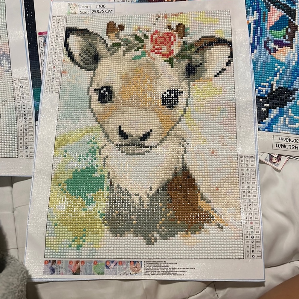 Completed Diamond Painting